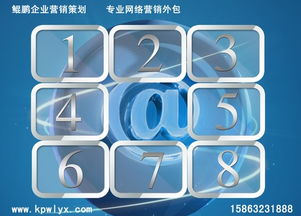 臨沂互聯網營銷與軟件銷售推薦公司指南